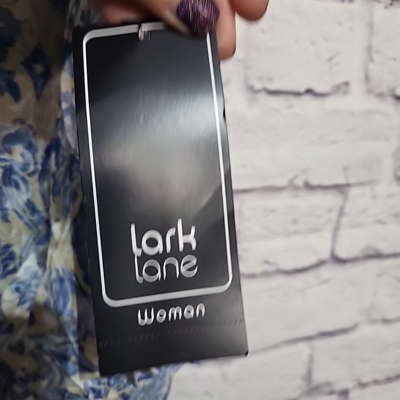 Lark Lane 2X Blue Cream Patterned Peasant Blouse Top Bohemian Tunic Women - Picture 8 of 8